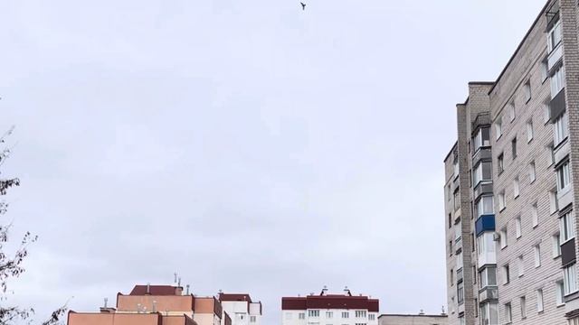 Немного моих будней. Купила обувь выгодно  #семья #дом #