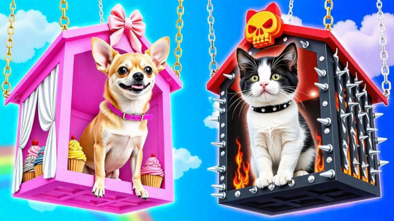🐾Зоопарк мечты для питомцев 🏡 Идеи и гаджеты для заботливых хозяев
