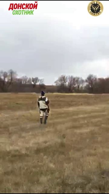 Охота на Зайца - так тоже бывает