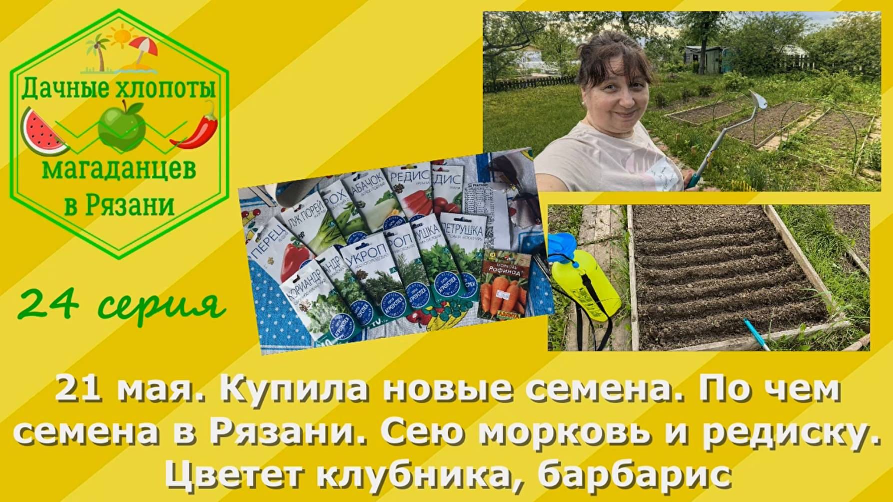 Купила новые семена.По чем семена в Рязани.Сею морковь и редиску. Цветет клубника и барбарис.21 мая