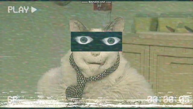Запись 0,2