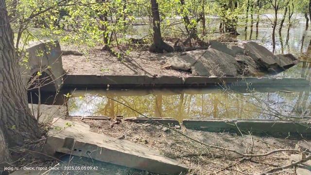Зелёный остров Омск 5 мая 2025 года. Пришла вода.