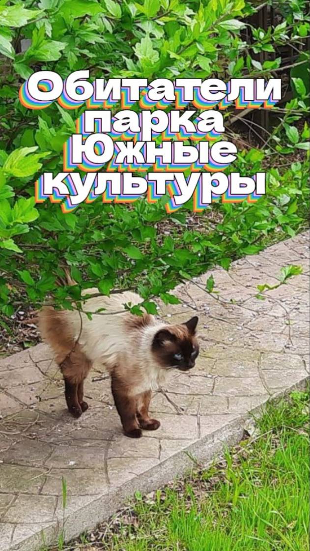 Обитатели парка Южные культуры
