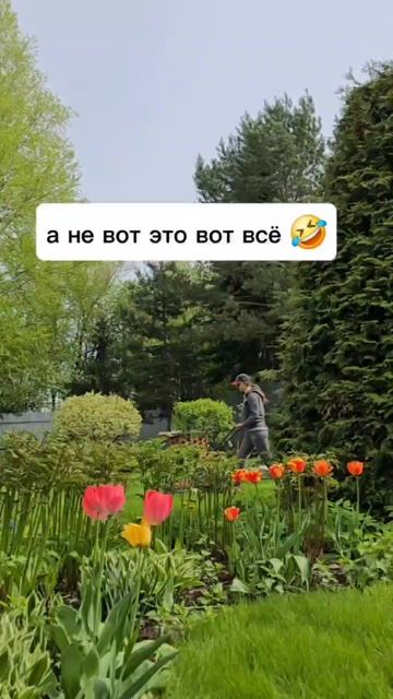 Поменяй одну мысль на поддержку — и начни менять свою жизнь уже сегодня!