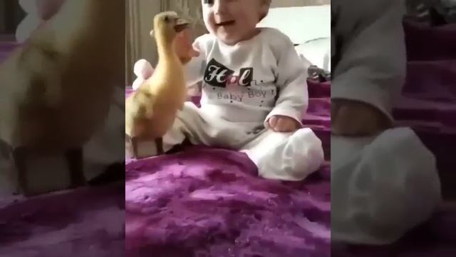 Какая прелесть) Ничего милее вы сегодня точно больше не увидите.