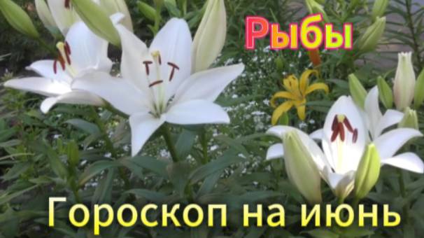Рыбы! Гороскоп на июнь 2025 года!
