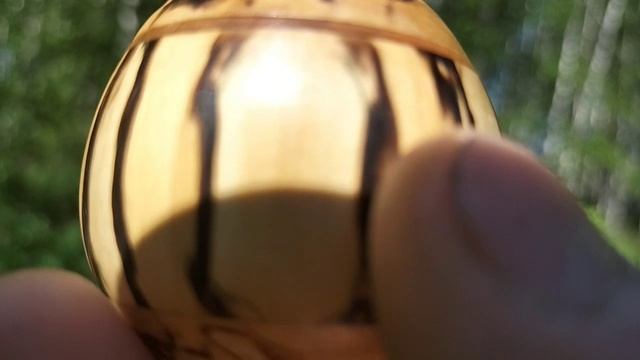 Шкатулка в берёзовой роще  на цветущей калине