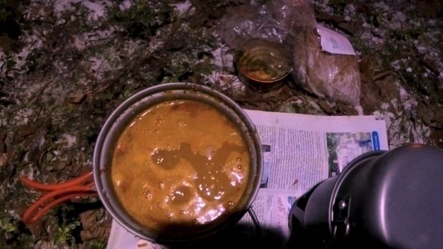 🌲 Поход в лес в январе с ночевкой | Готовлю сосиски в т