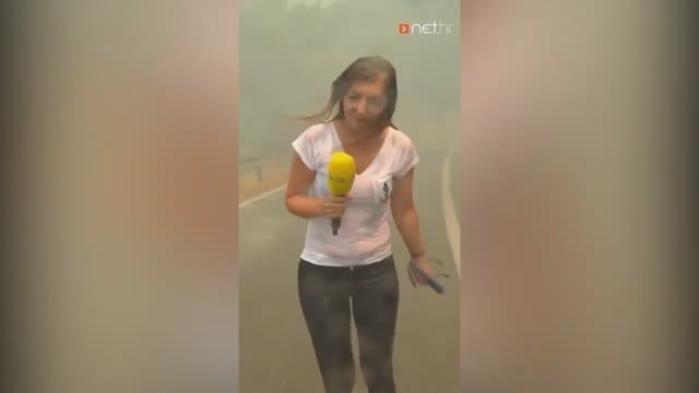BEST COUB №27 ｜ BEST COUB COMPILATION VIDEOS OF ALL TIME