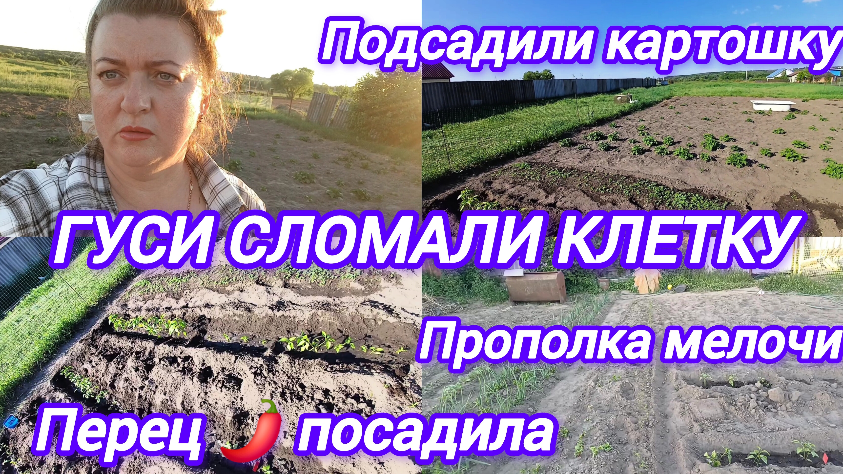 ГУСИ СЛОМАЛИ КЛЕТКУ. ПОСАДИЛА ПЕРЕЦ. ПОДСАДИЛИ КАРТОШКУ. ПРОПОЛОЛА МЕЛОЧЬ
