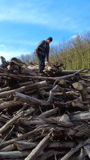 видео #145 на канале Пойдем со Мной #неберджай #nature #поход #водохранилище