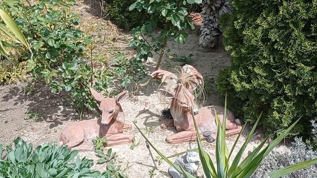 VID_20250525_130048