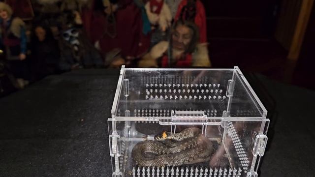 ПЕРЕДАТЬ ПРОСЬБУ ЧЕРЕЗ ЗМЕЮ...