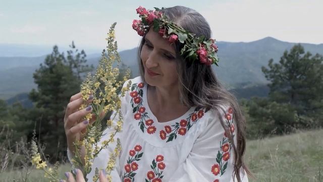Озренска сватовска пјесма -  Озрен горо повиј брду гра?