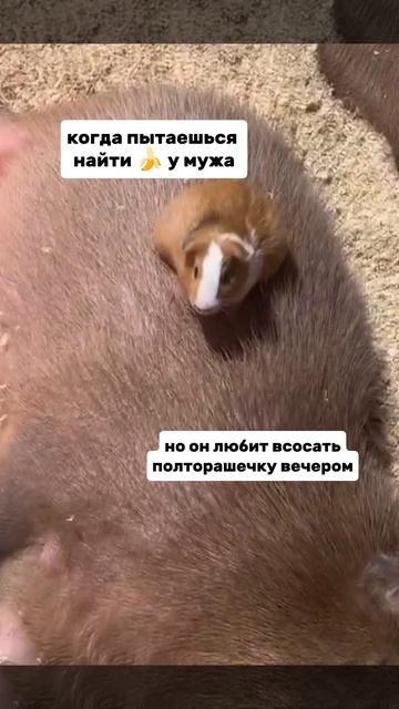 Ой😅😅😅