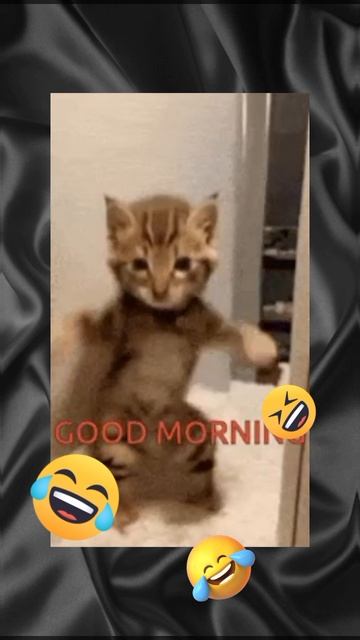 СКОРО СТАНЕТ МЕМОМ смешно😂😂😂😂🤣🤣🤣🤣🤣🤣🤣🤣🤣🤣🤣🤣🤣🤣🤣😂😂😂😂😂😂😂😂😂😂😂😂😂😂😂😂😂😂