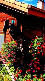 Неожиданные кадры