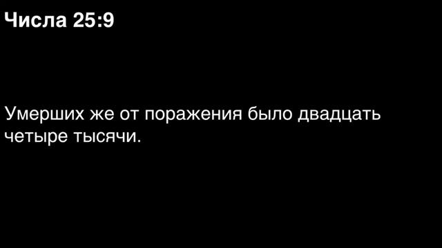 Числа, глава 25