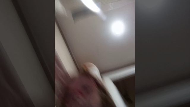 2034.mp4