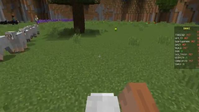 Minecraft  змейка