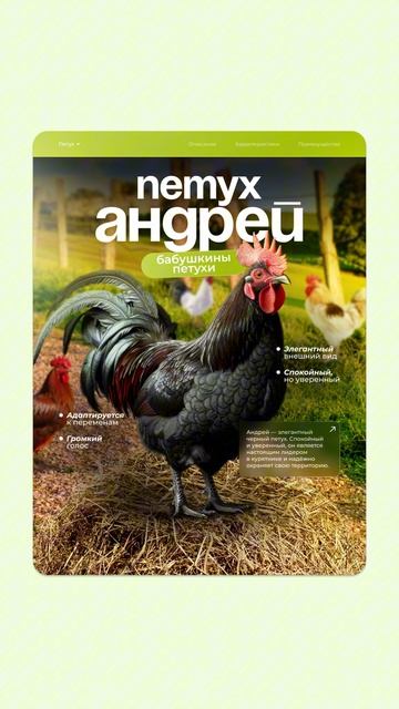 Всем друзьям в подарок отправляю новый урок по созданию инфографики 🔥