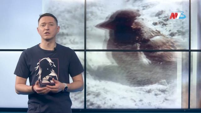 НАРОДНЫЙ КАЛЕНДАРЬ_2705