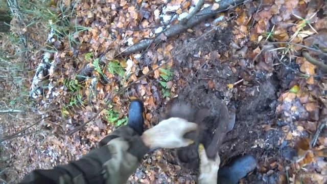 Разнообразие запчастей и техники в старых делянках