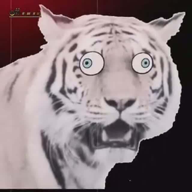 Болливуд который мы потеряли...