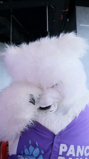 ОНИ НЕ ХОТЕЛИ ИГРАТЬ С ПАНОРАМЫЧЕМ?(