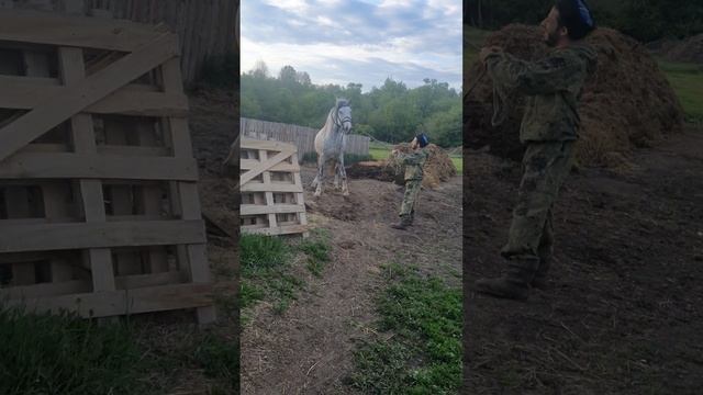 Приехал к другу в Белгородщину,кроем кобылу