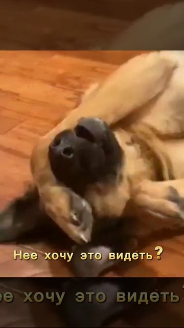 Не хочу это видеть?