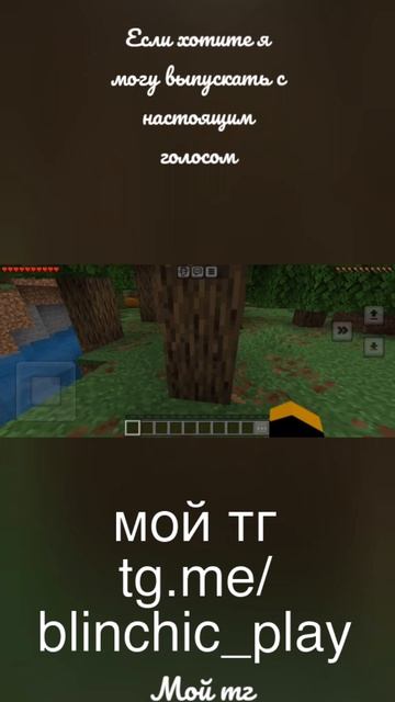 видео которое прервала ошибка в майне