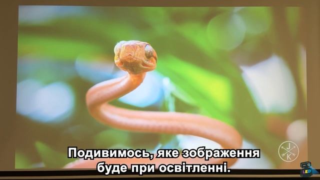 Проектор Thundeal TD92 Pro - Доступно та Якісно!