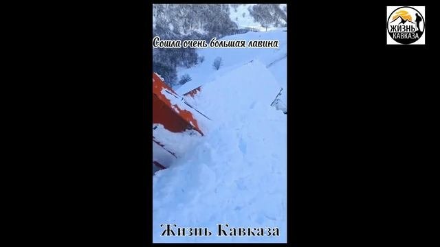 Лавина сошла на людей в горах Чечни