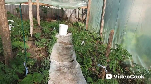Куда мы пропали.Наши будни.