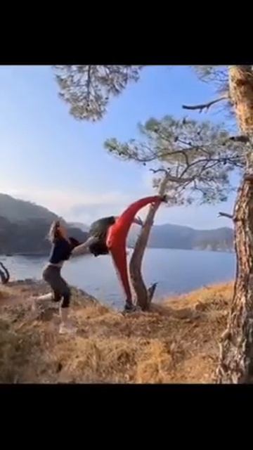 Прикольные видео