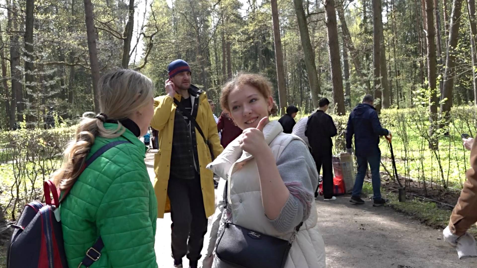 В Павловском парке высадили 500 кустов акации