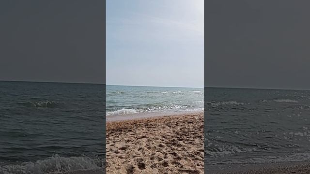 1000419304.mp4