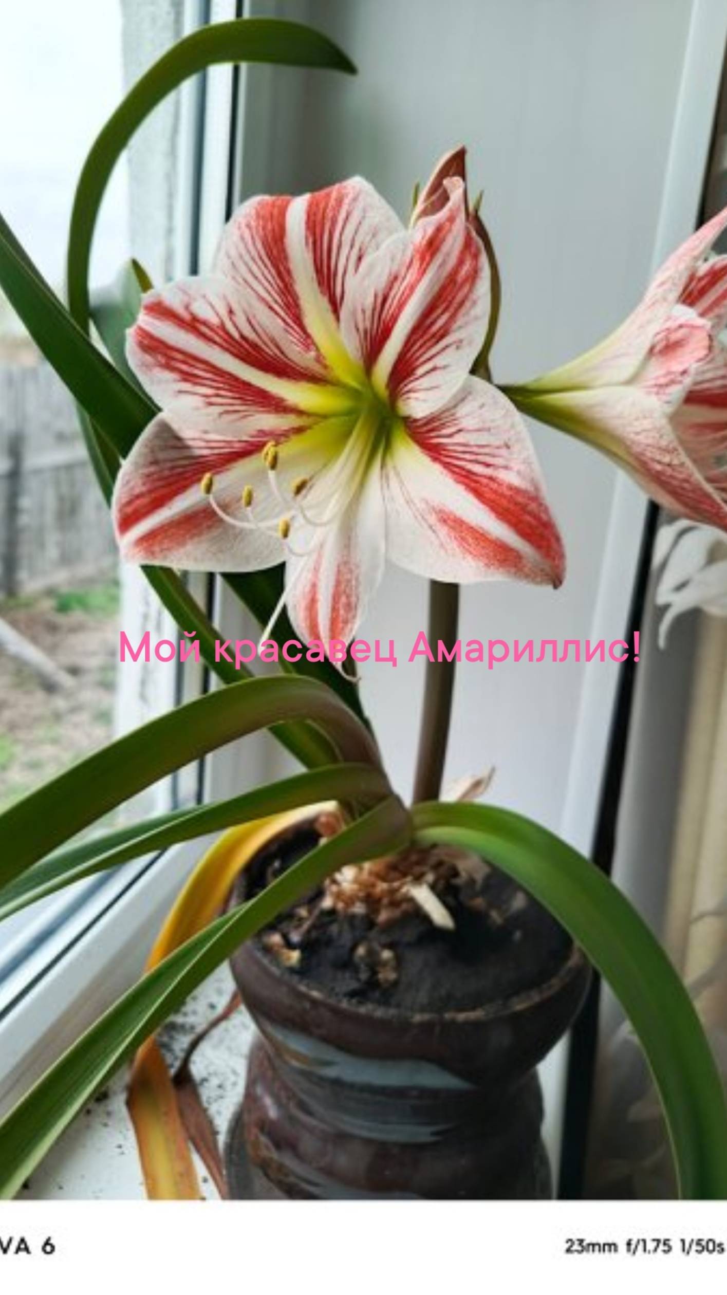 События нового дня!💐