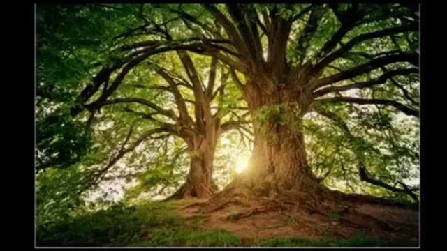 Хауди Микоски. Сценарии жизни, дроны и 2025 год #хауди#ми?