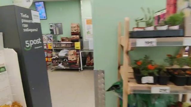г.Санкт-Петербург, Колпинское шоссе, 40 (Пятёрочка)