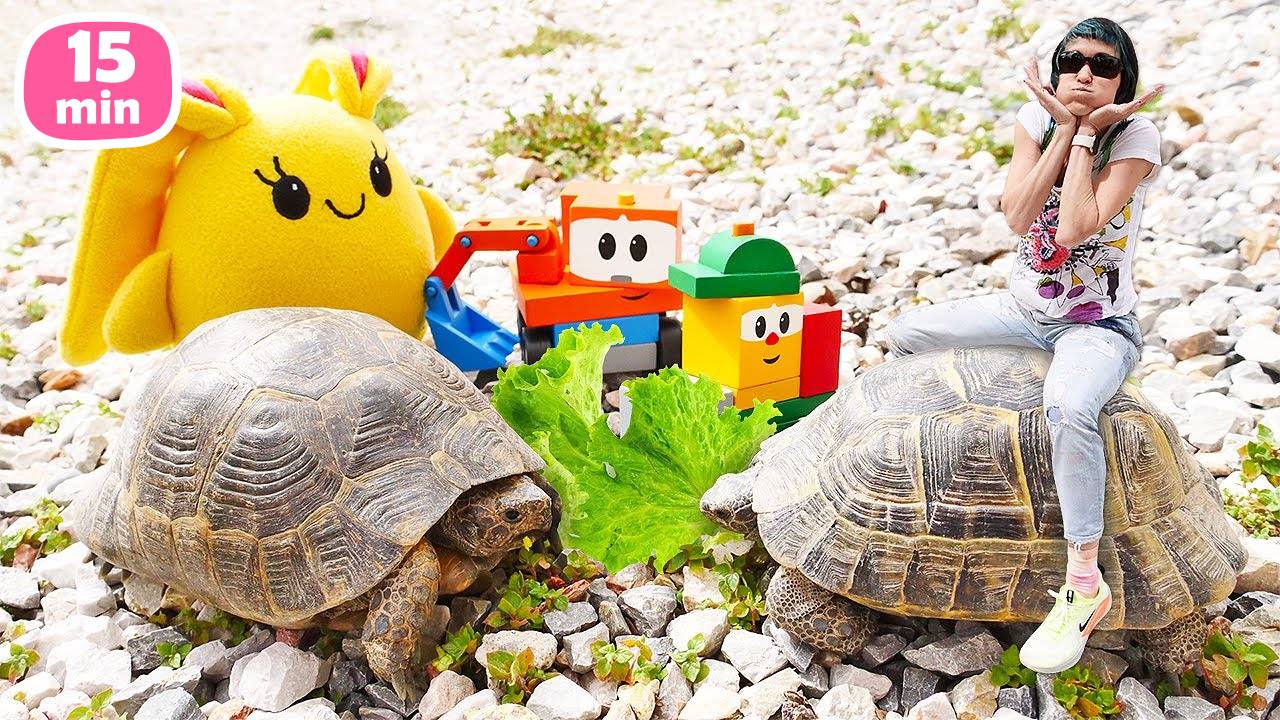 Маша и Лаки кормят черепах и играют в машинки перед сном!