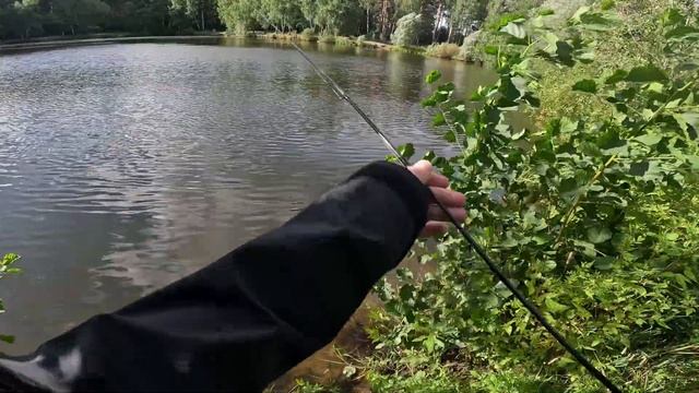 Потерянный ротан. оз. Стрелка. г. Раменское 12.08.2024.