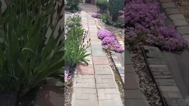Еще не было весны, а уж лето на пороге