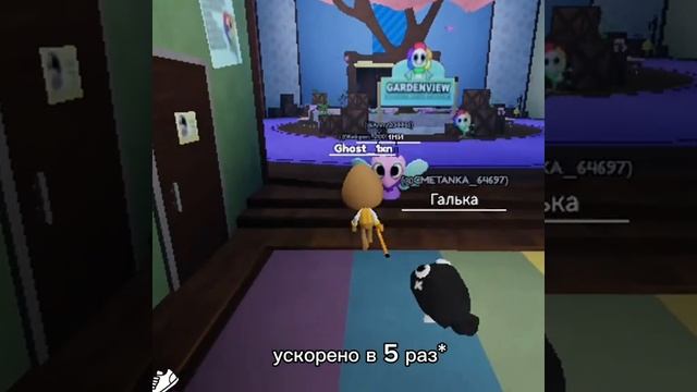Ключ на старт гонка будет вот вот #dndswrld #dandiesworld #dandies #world #krevetka