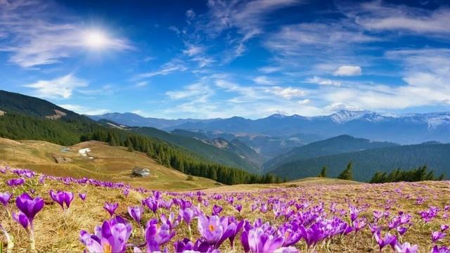 ВЫЙДИТЕ С ВЕСЕЛЬЕМ, ПРОВОДЯТ С МИРОМ ВАС! Хор СПб