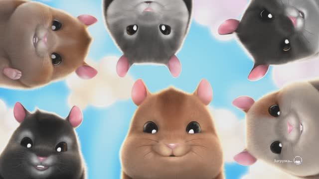 Hamster Playground с комментариями