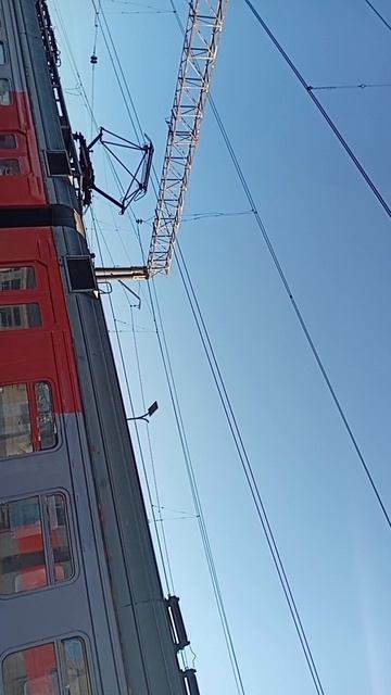 scene_output.mp4