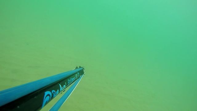 17.05.25 Brighton Камбала