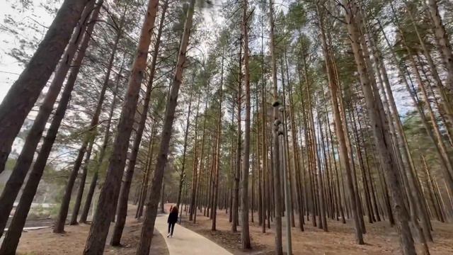 Чудесная💚 сказочная 🩵прогулка вокруг озера 👍в пар?
